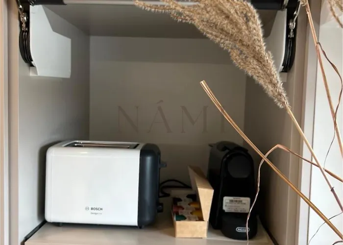 Villa Nami - Jusu Poilsio Namai Prie Juros Monciskese Palanga